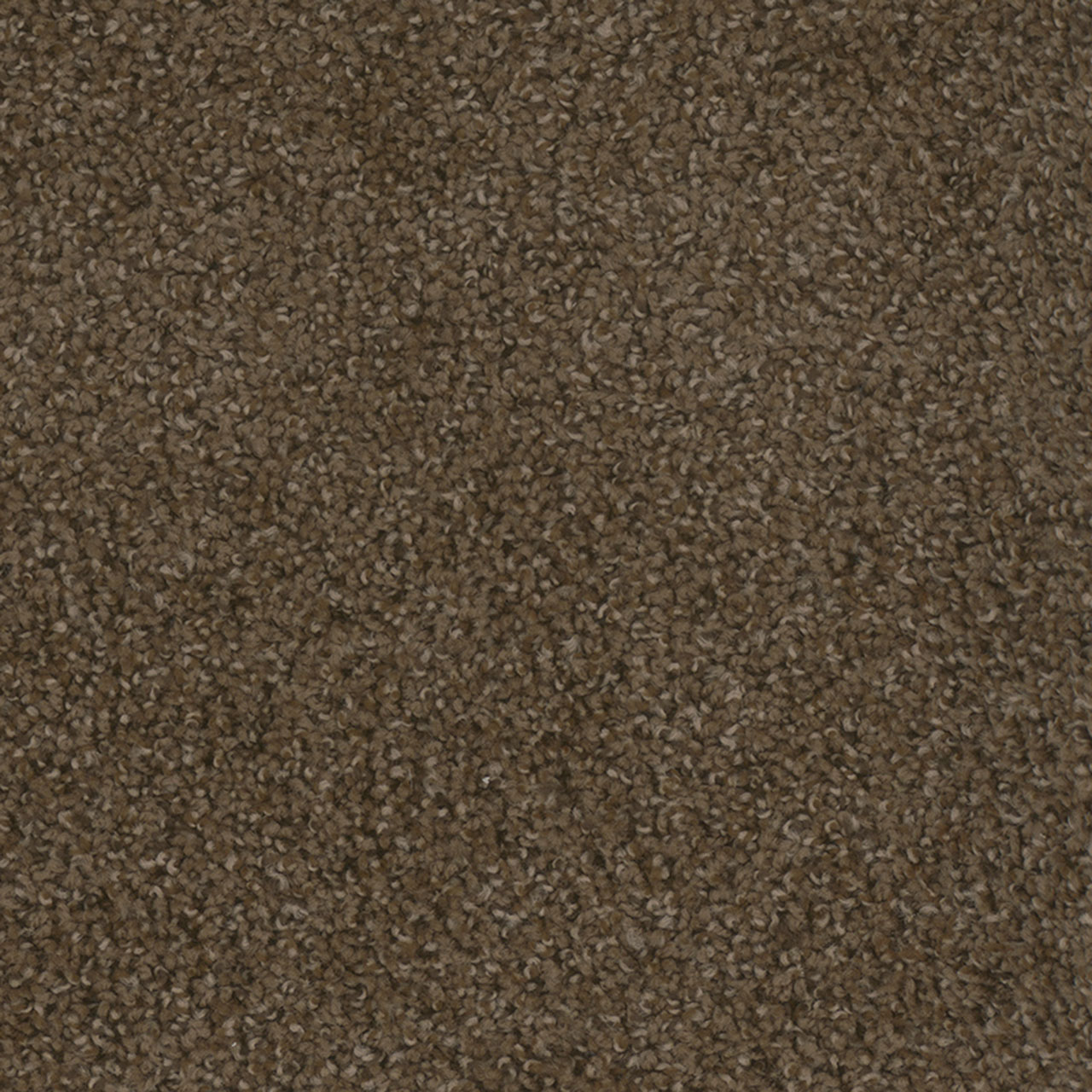 Boulder Step Up swatch