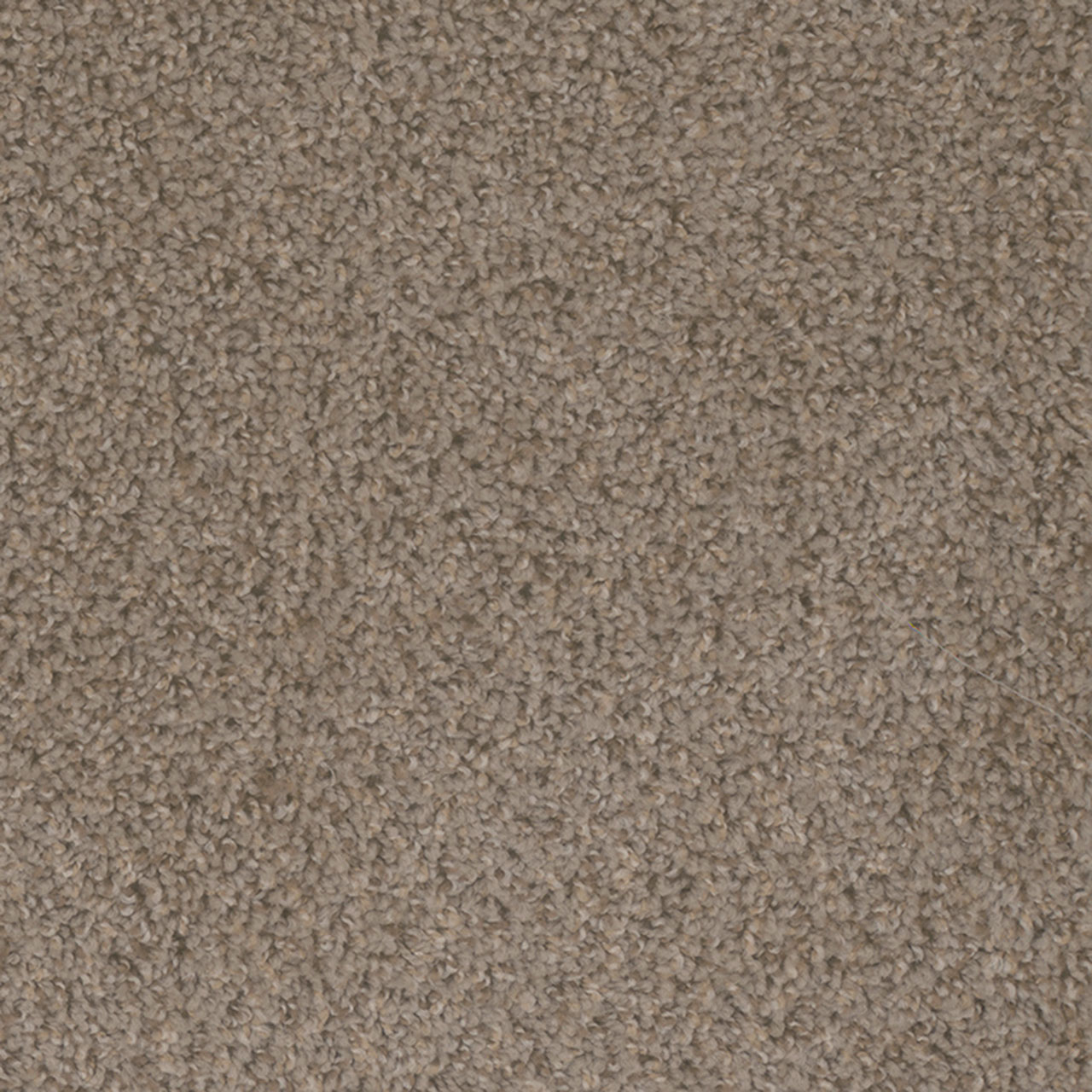 Cinder Step Up swatch
