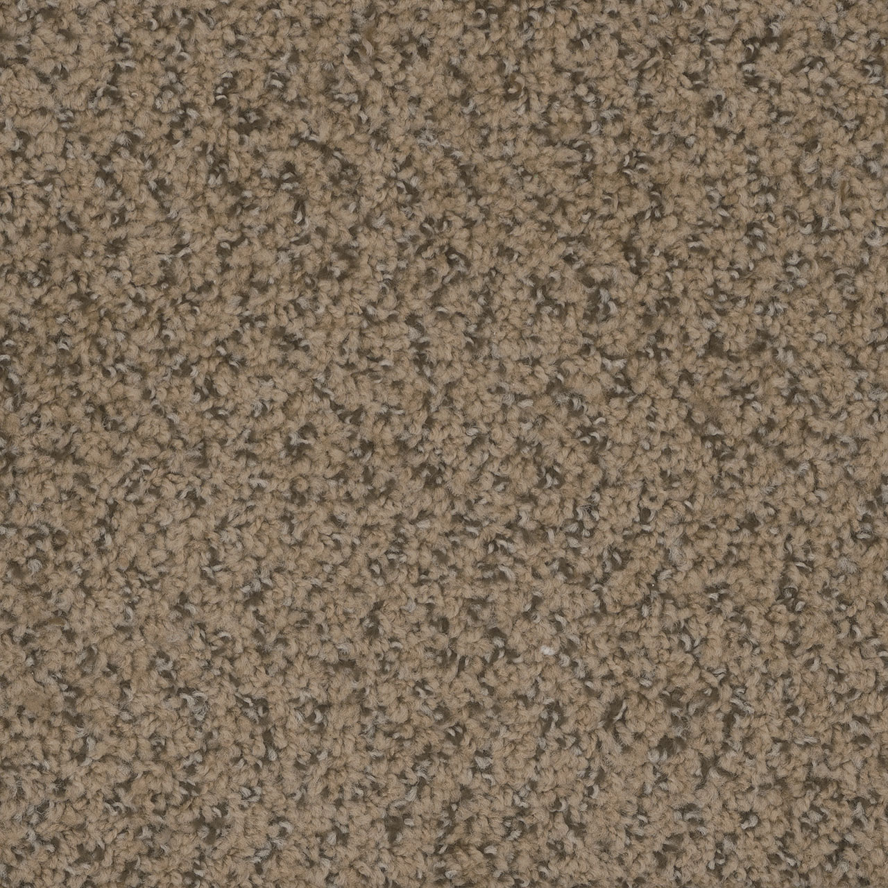Fawn Step Up swatch