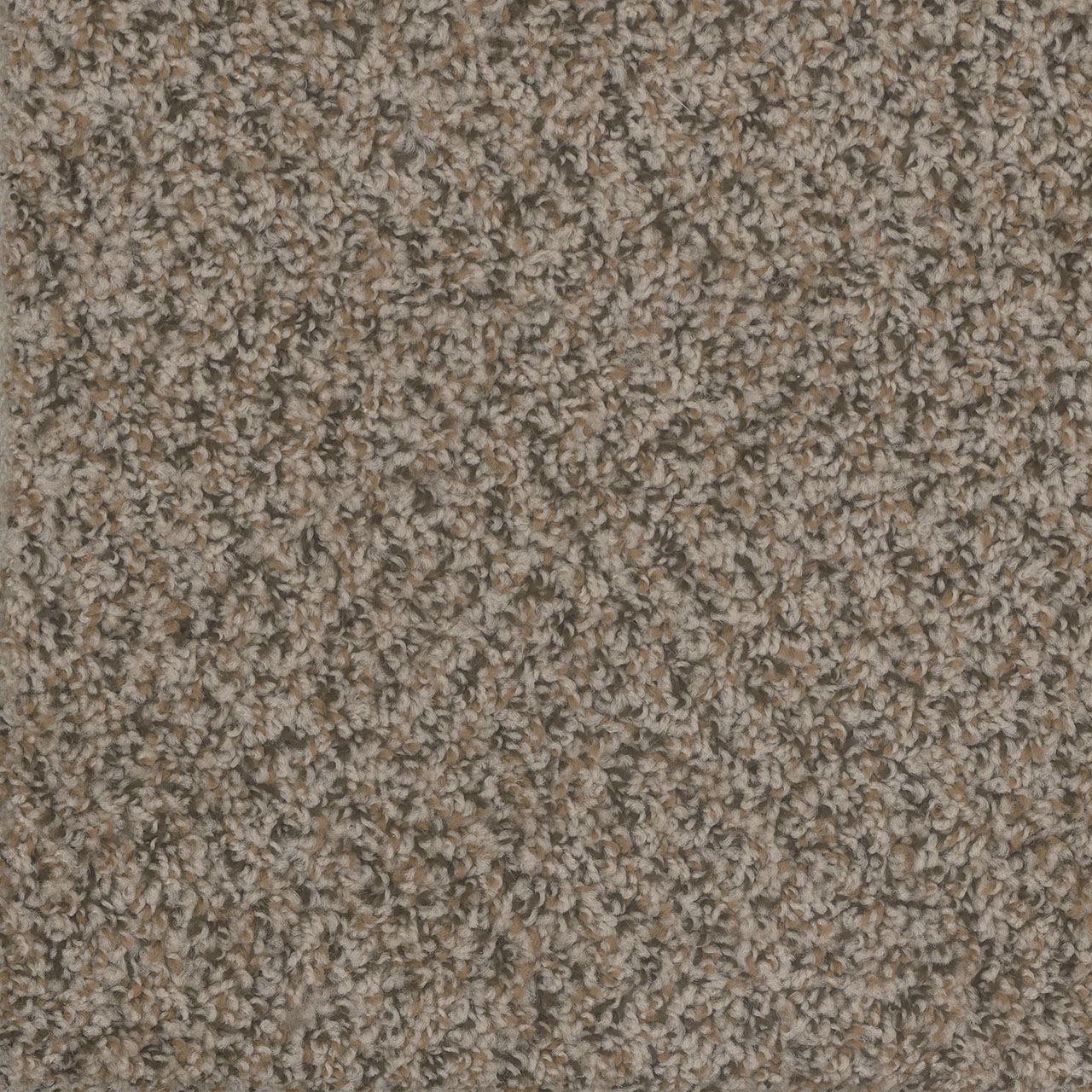 Gingerbread Step Up swatch