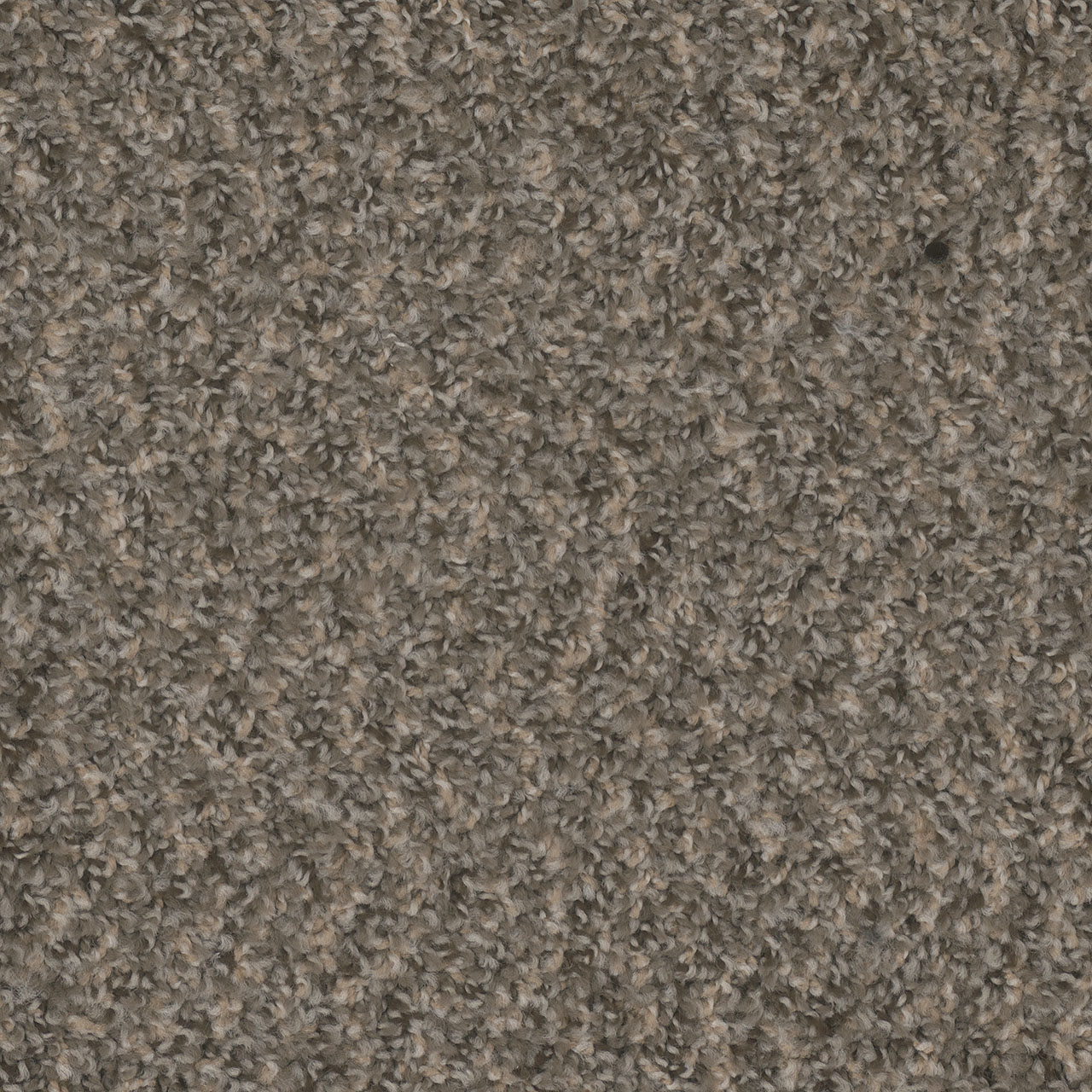 Ironside Step Up swatch