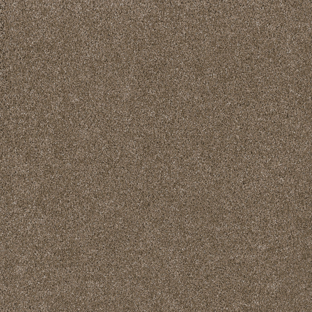 Acorn Stunning swatch