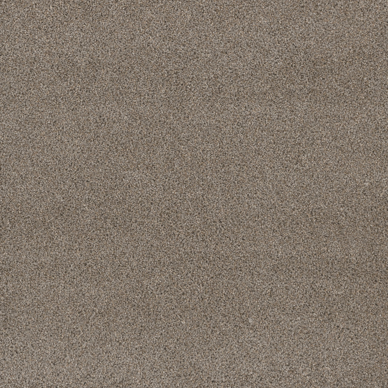 Ash Stunning swatch