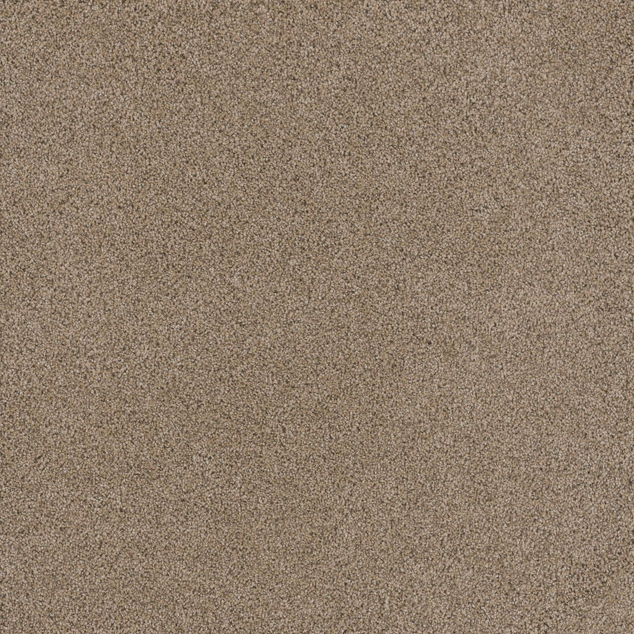 Ginger Stunning swatch