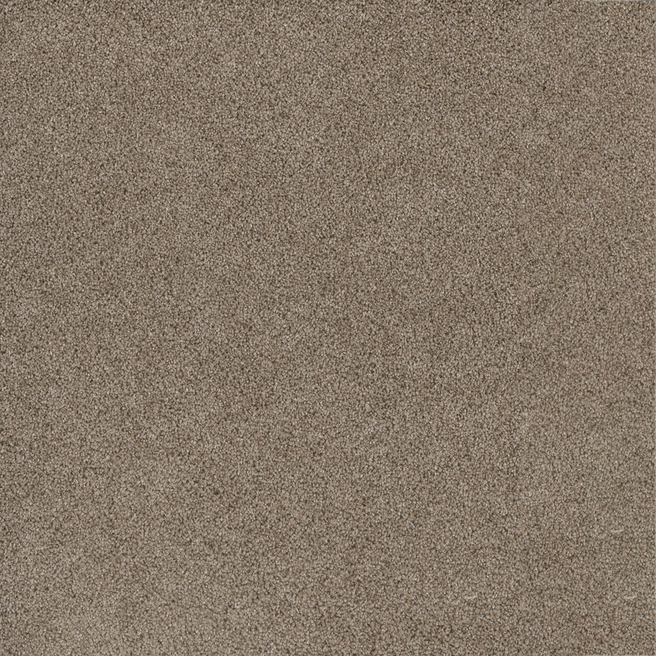 Mocha Stunning swatch