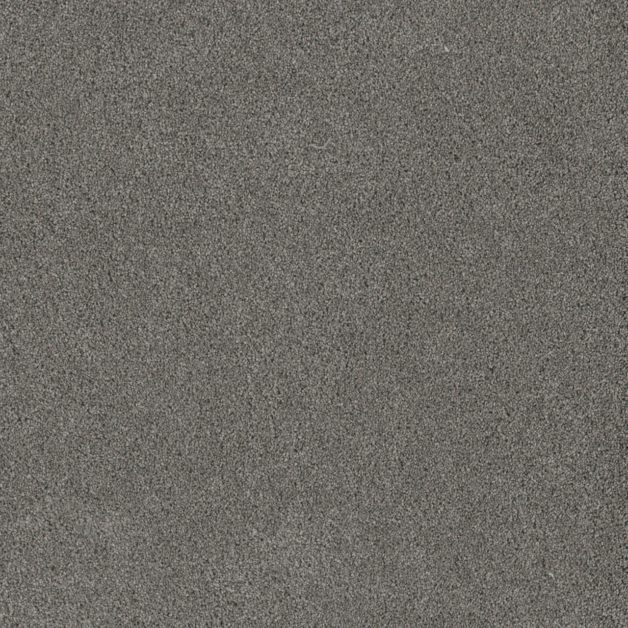 Orion Stunning swatch