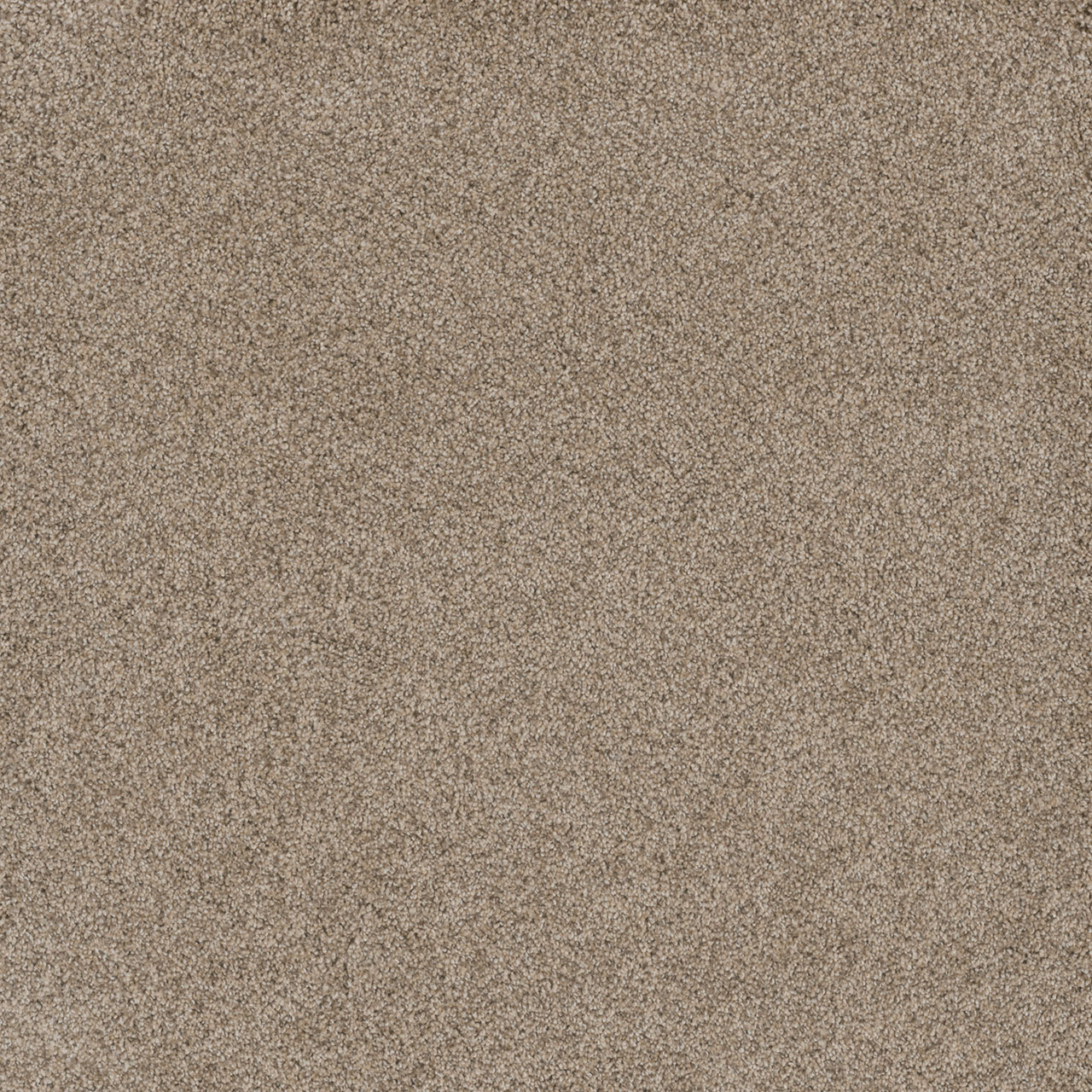 Oxford Stunning swatch