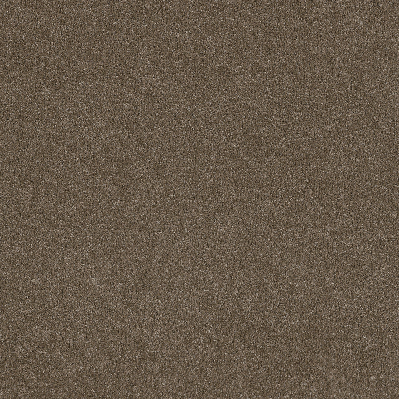 Peppercorn Stunning swatch