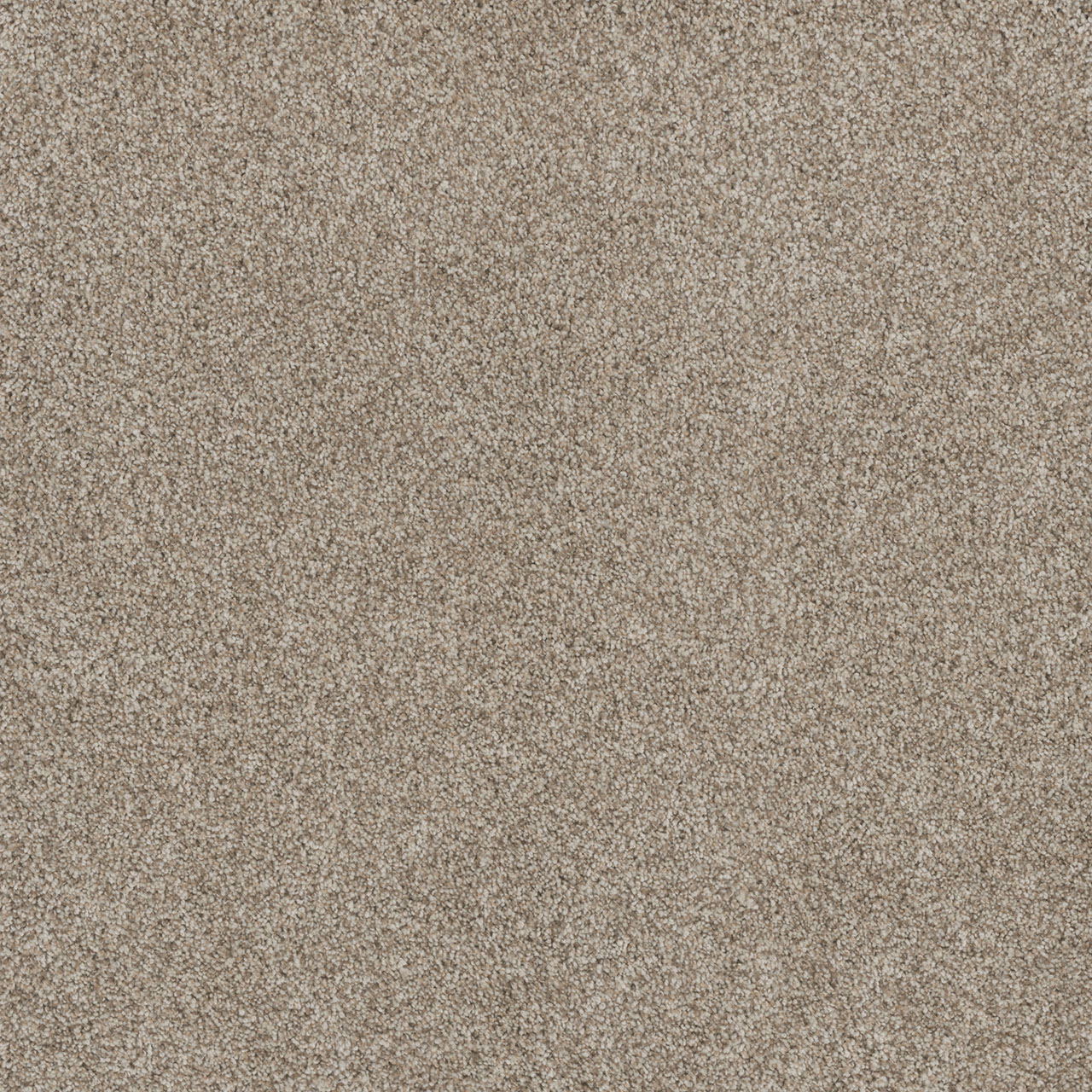 Seashells Stunning swatch