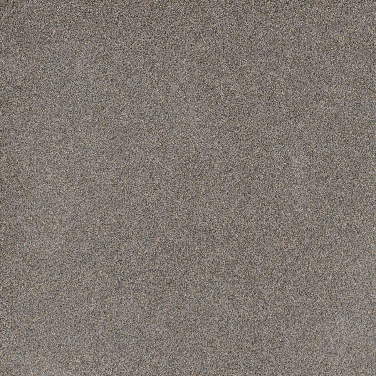 Shadows Stunning swatch
