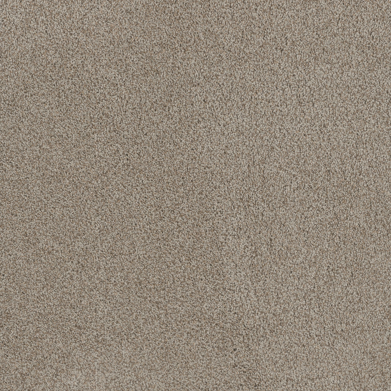 Stucco Stunning swatch