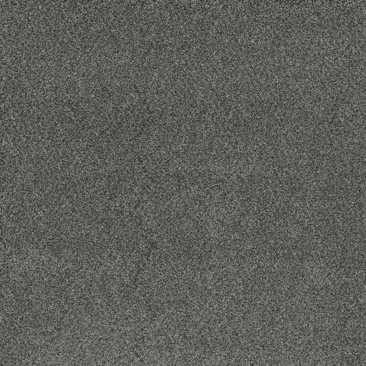 Zinc Stunning swatch