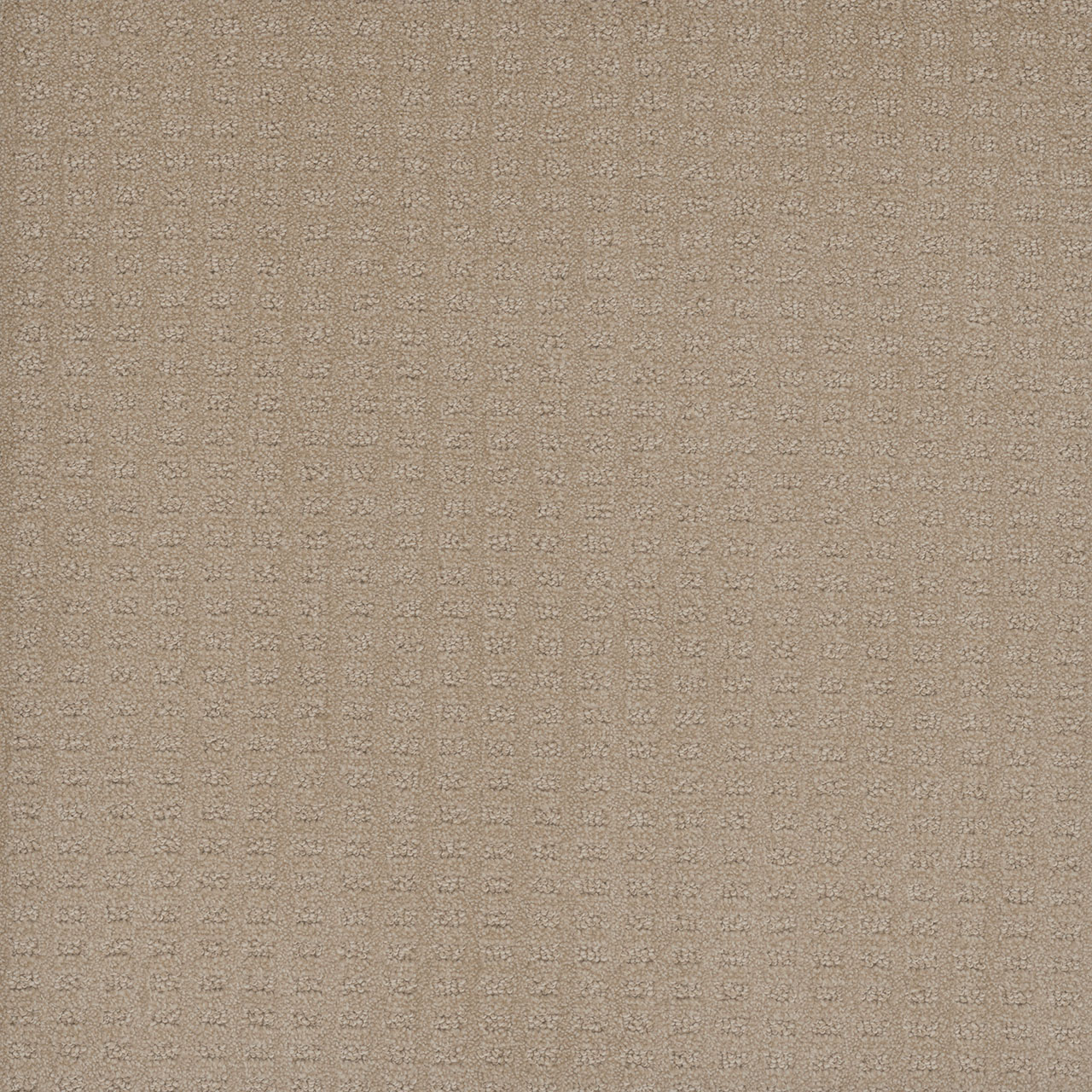 Soft Pine Superb swatch
