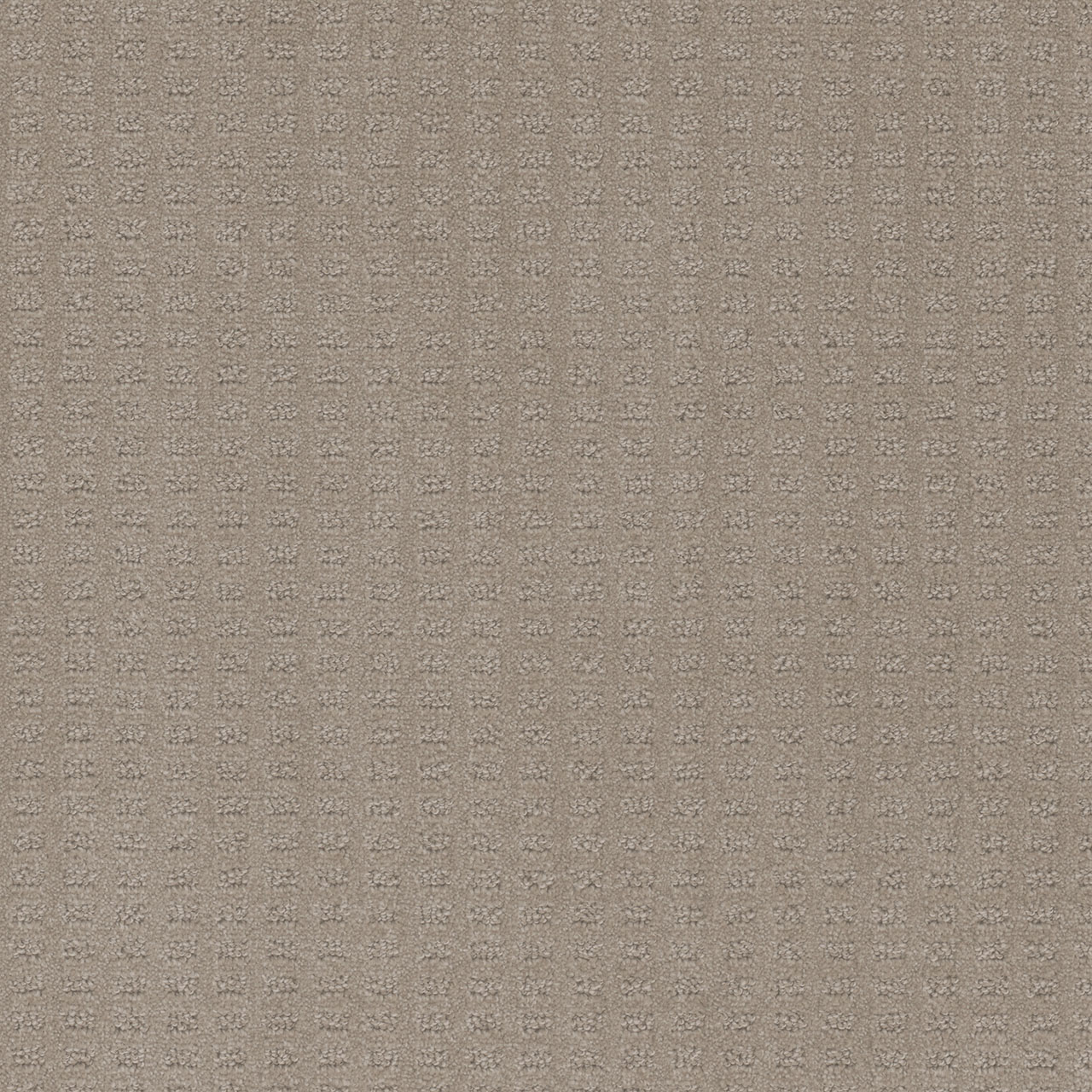 Warm Sand Superb swatch