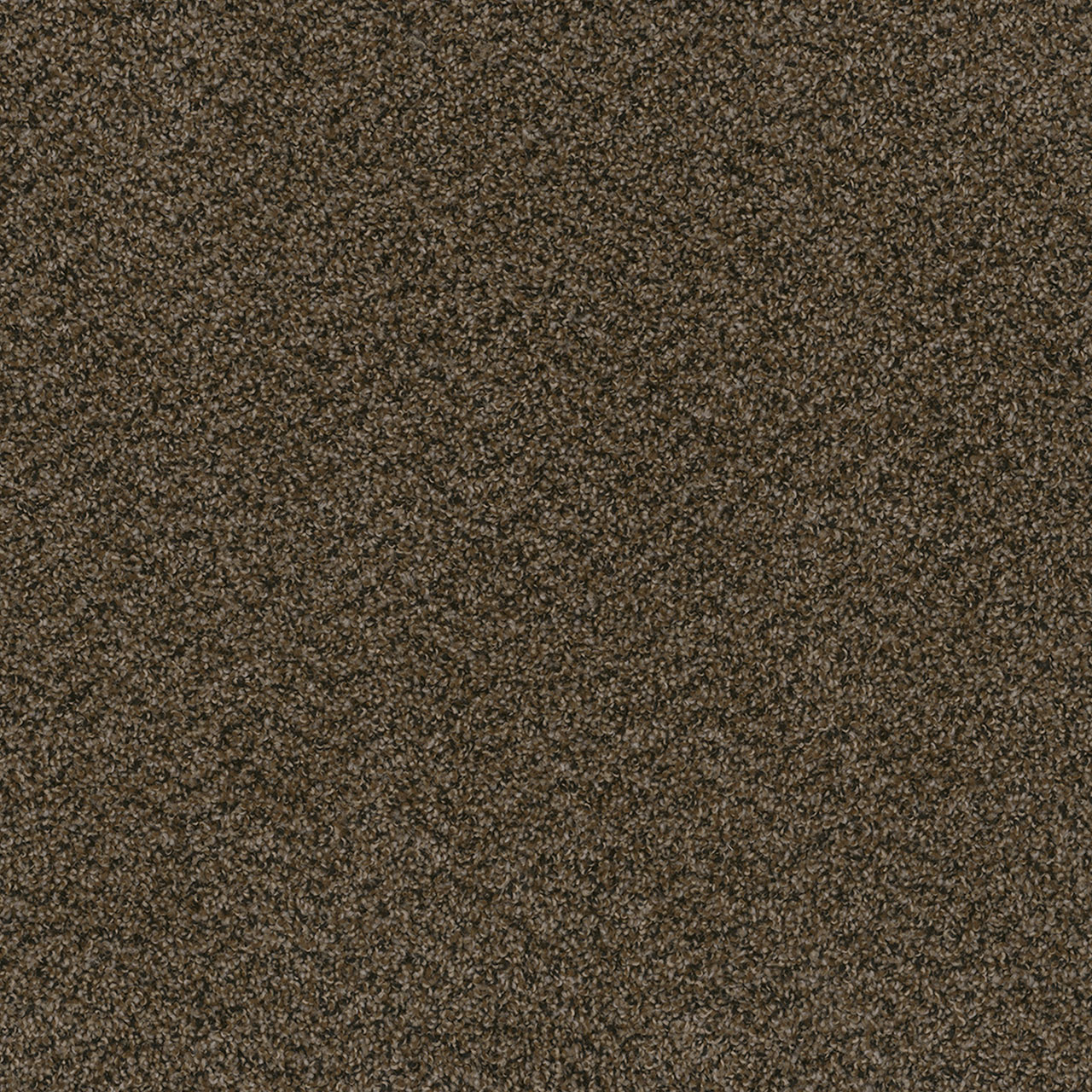 Rustic Charm Sweepstakes swatch