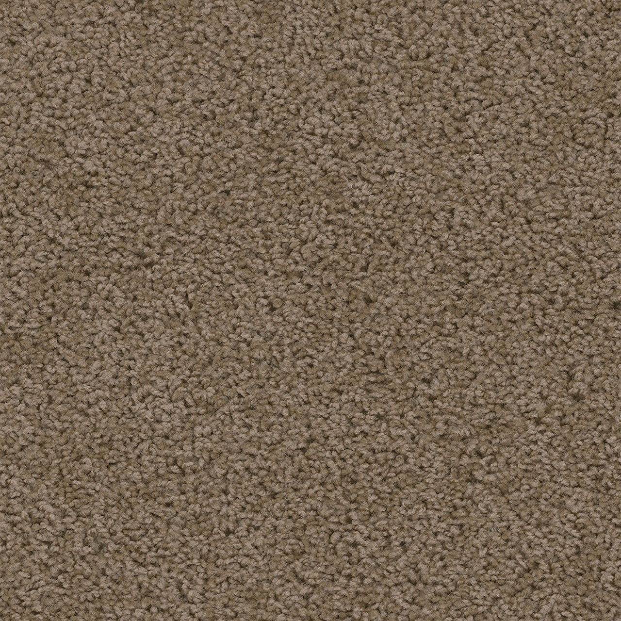 Taupe Sweepstakes swatch