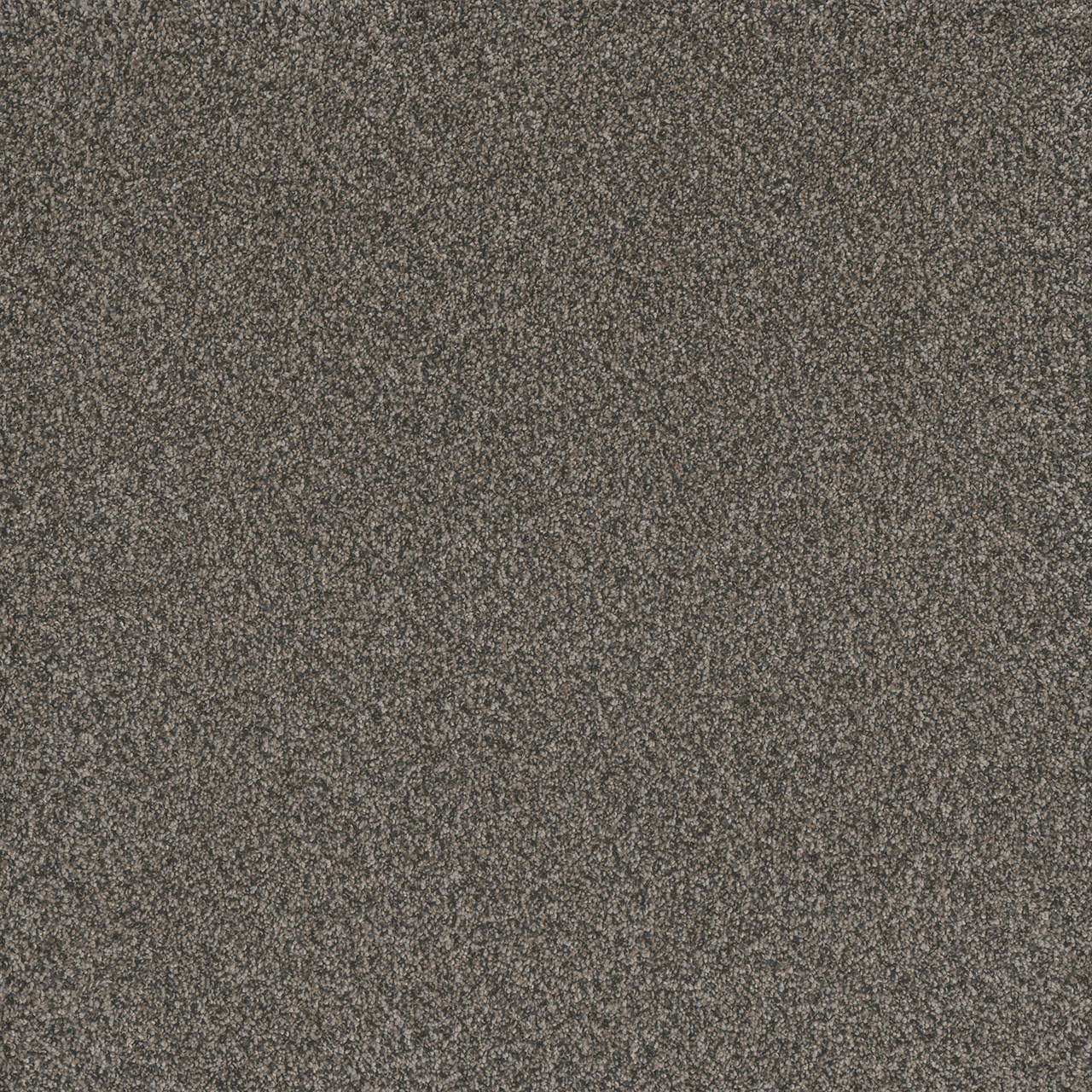 Castle Rock Titan I swatch