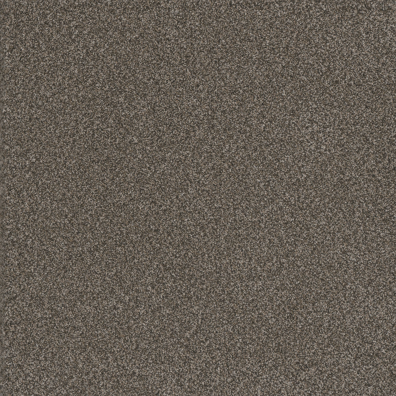Woodford Titan I swatch
