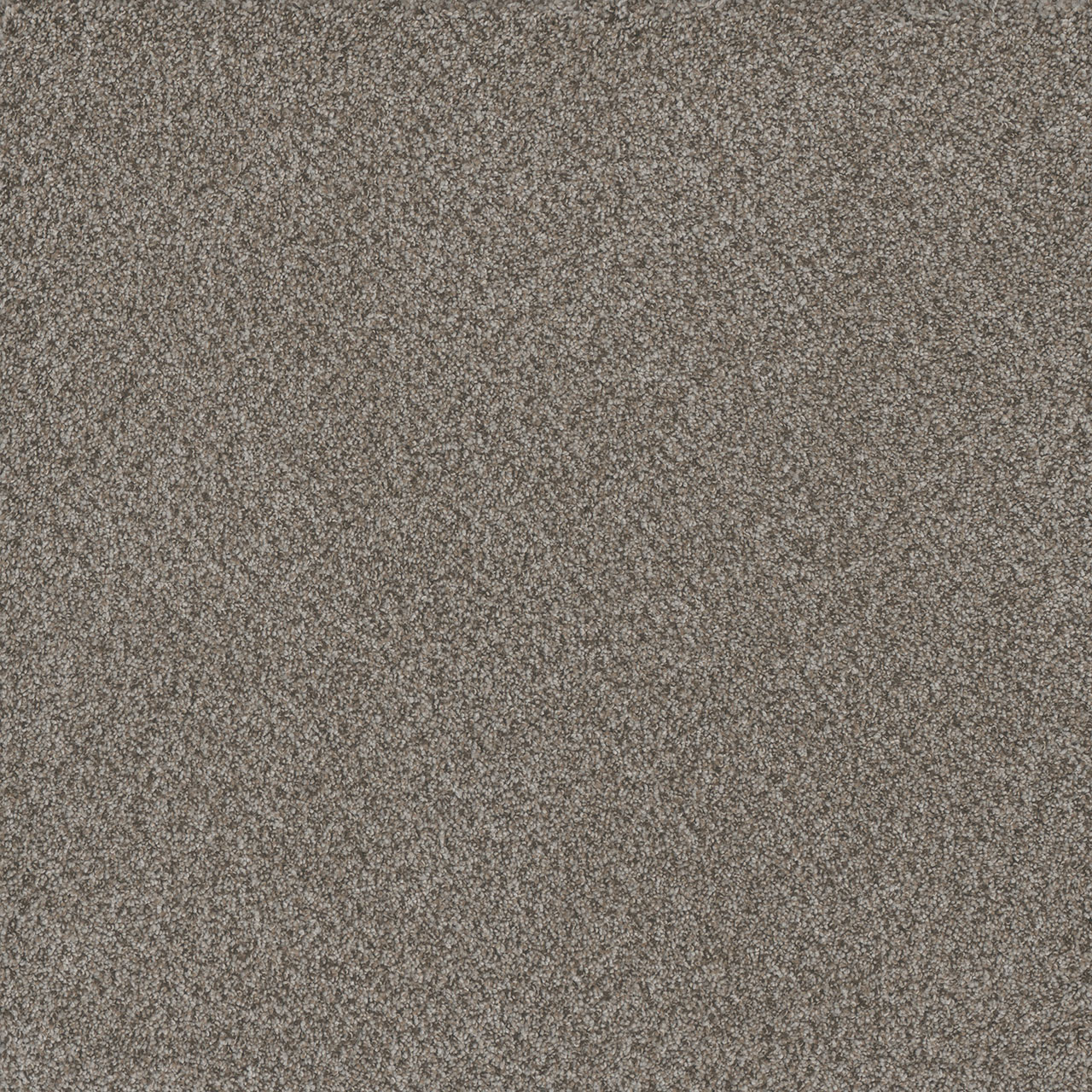 Oakland Titan III swatch