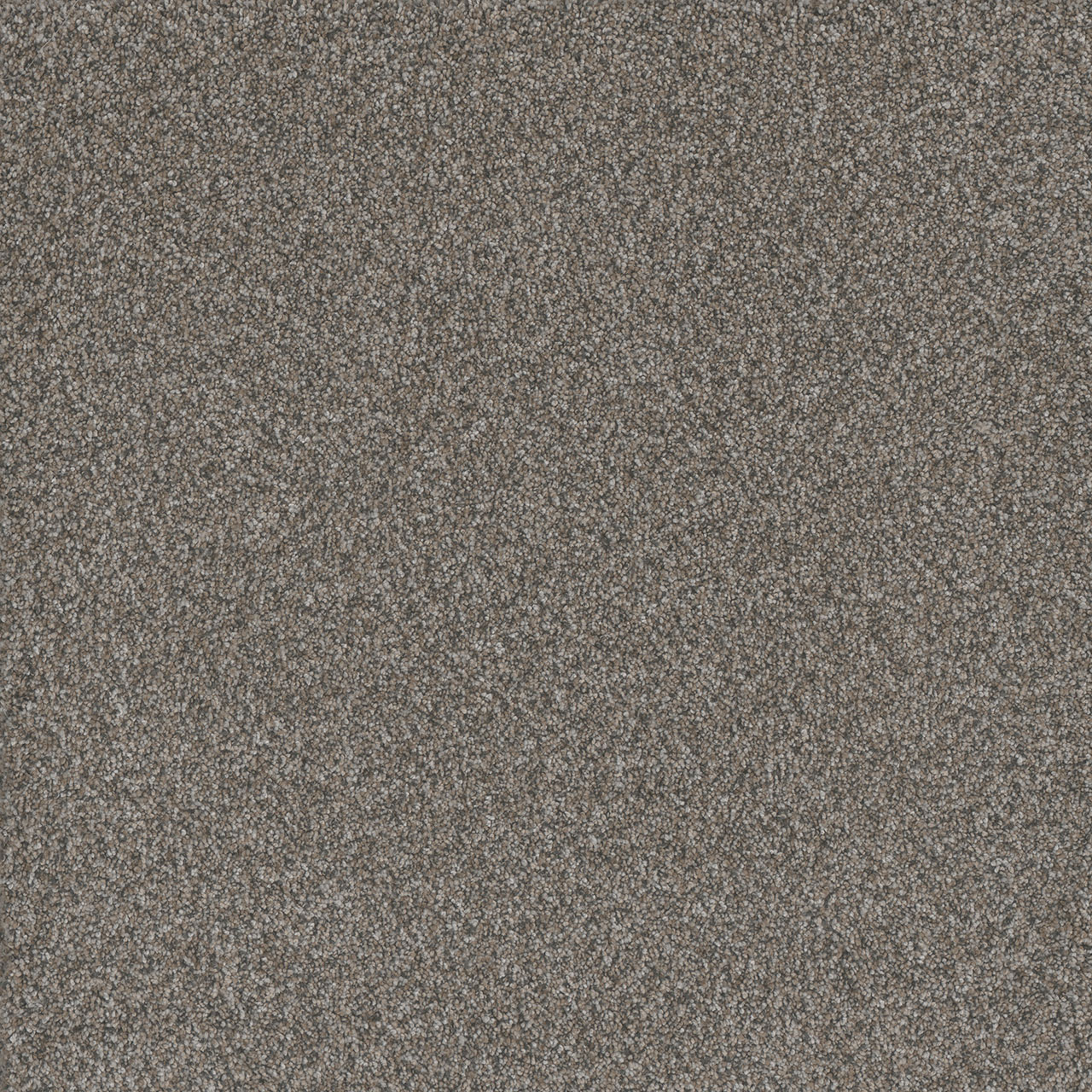 Pearl Titan III swatch