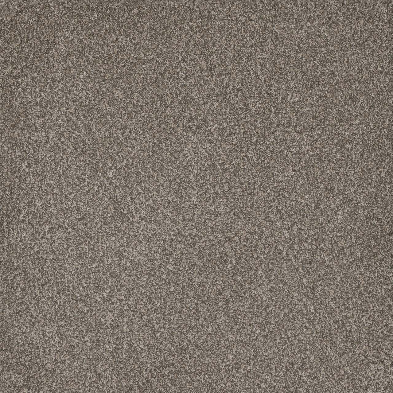 Royal Crown Titan III swatch