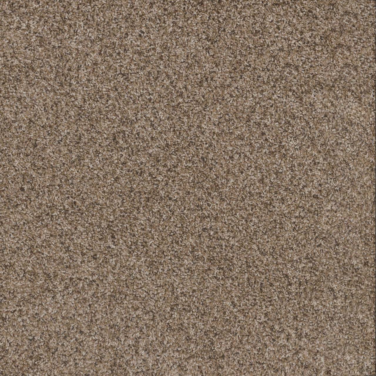 Briarwood Toast of the Town swatch
