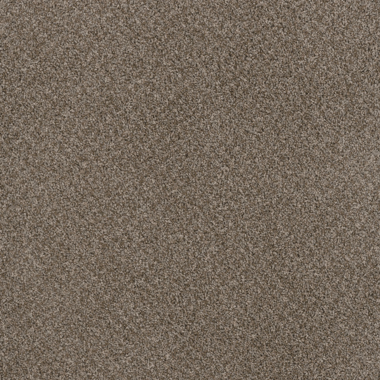 English Stone Toast of the Town swatch