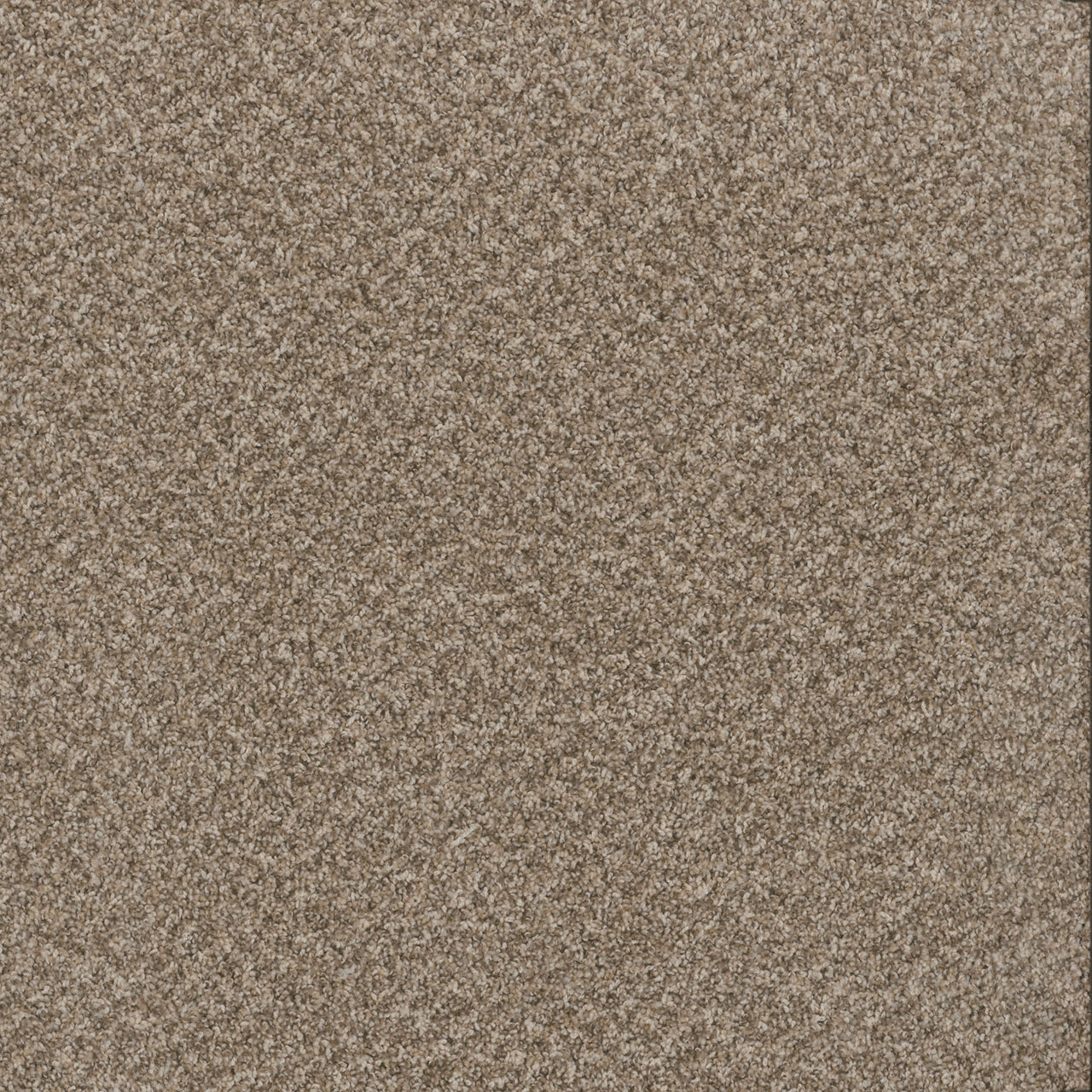 Natural Cotton Toast of the Town swatch
