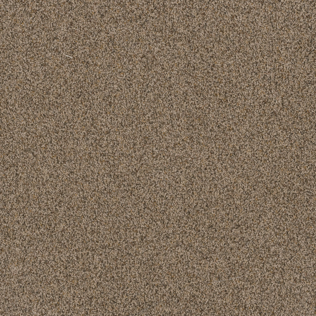 Oakfield Toast of the Town swatch