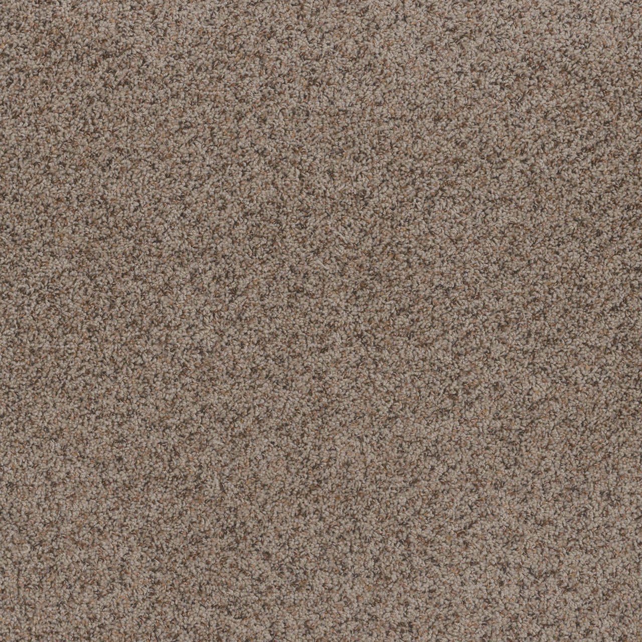 Oyster Bay Toast of the Town swatch