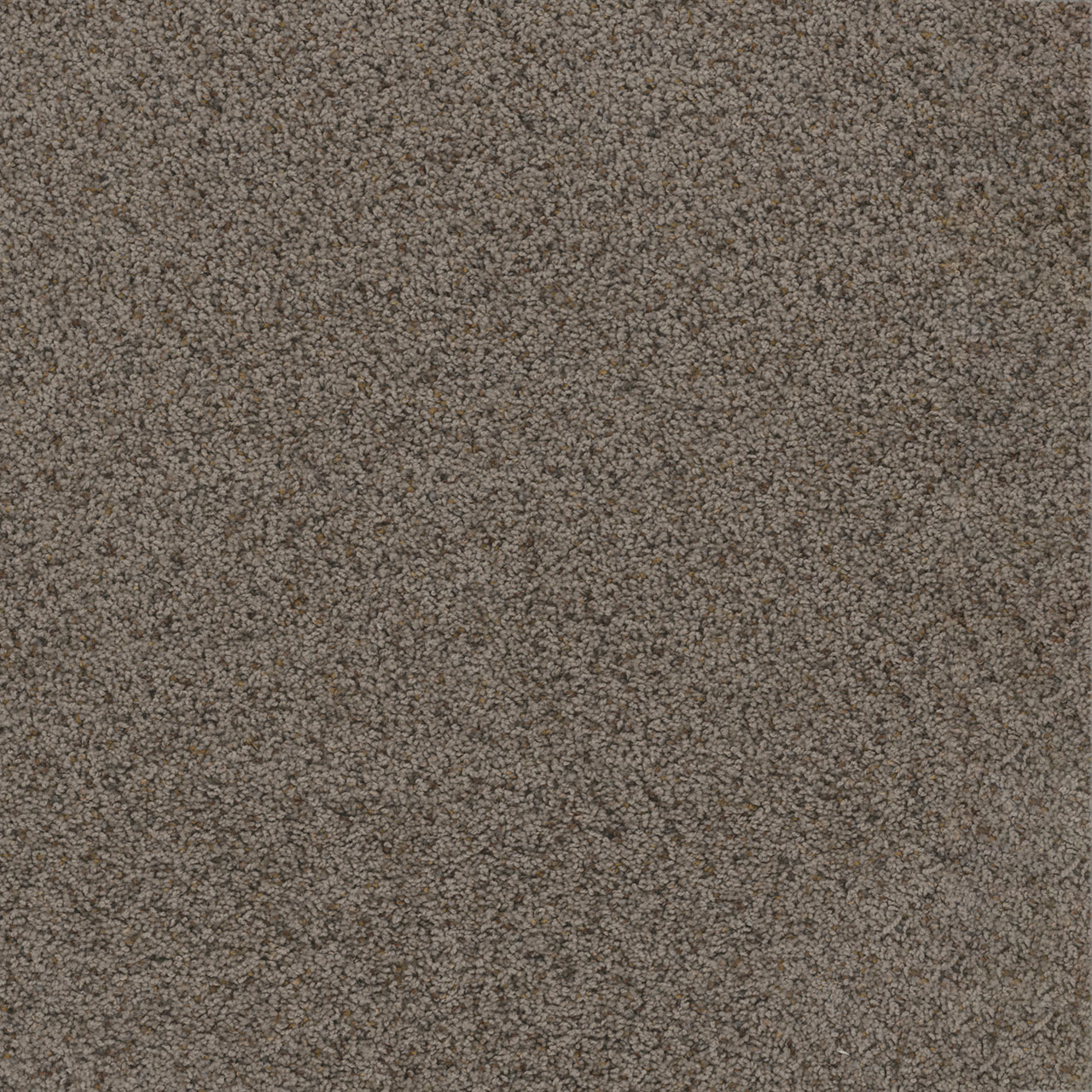 Rugged Suede Toast of the Town swatch