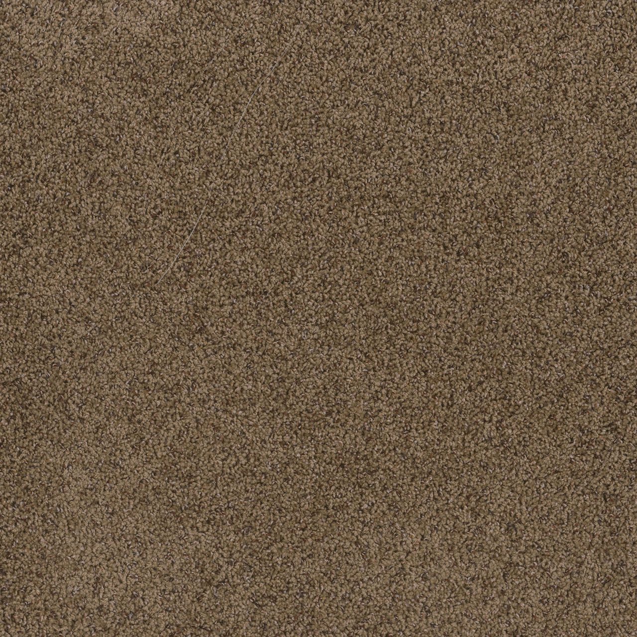 Sandalwood Toast of the Town swatch