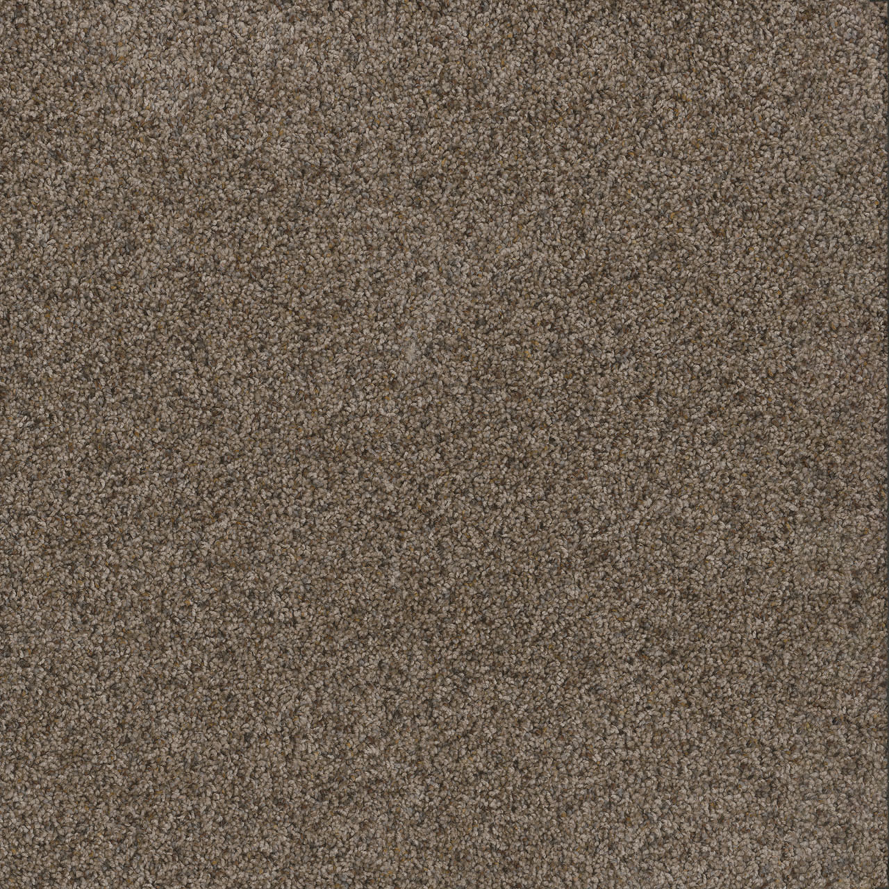 Tanzanite Toast of the Town swatch