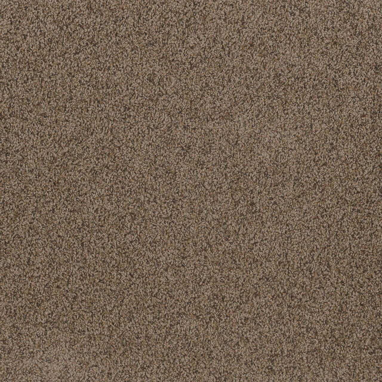 Vallum Toast of the Town swatch