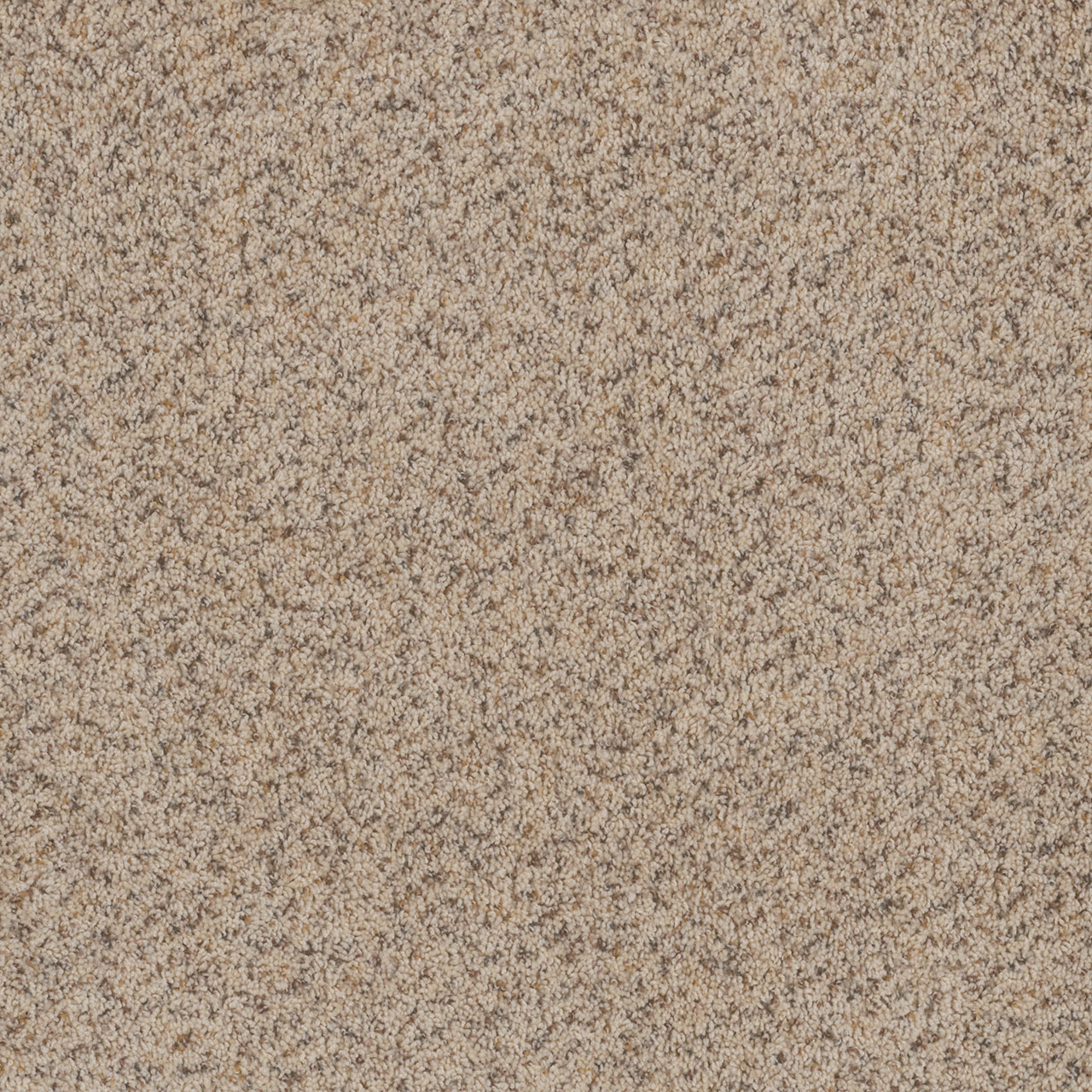 Winter Blanket Toast of the Town swatch