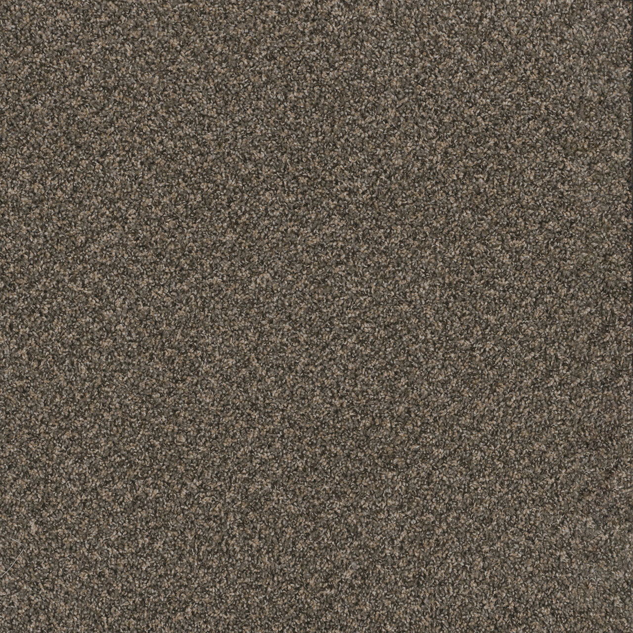 Wrought Iron Toast of the Town swatch