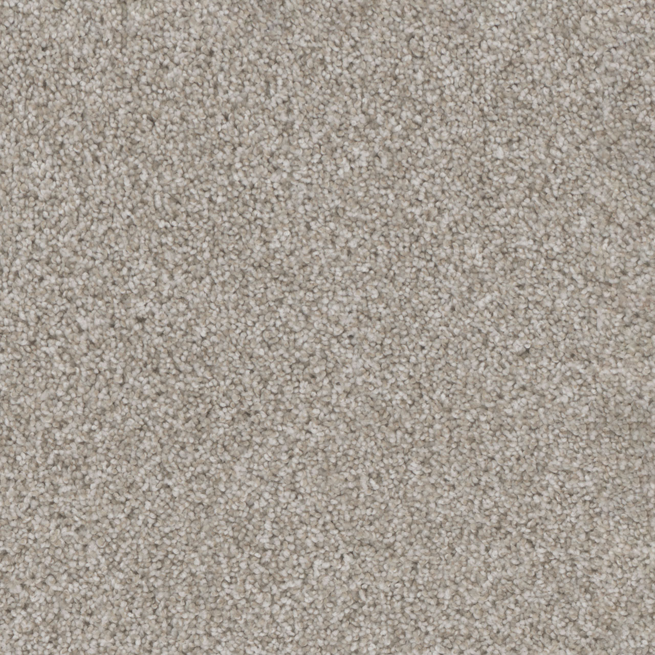 Acadia Trendsetter II swatch