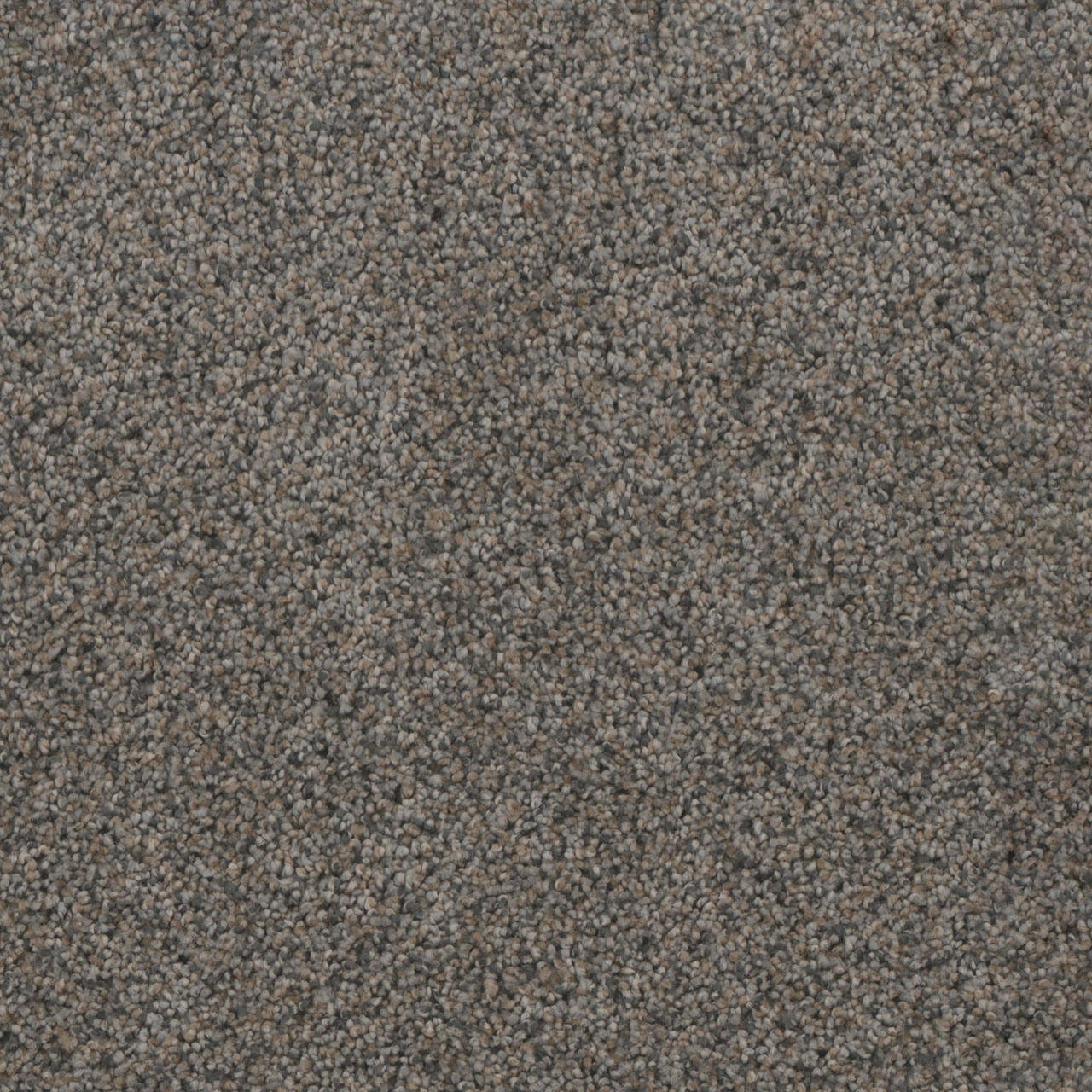 Ash Grove Trendsetter II swatch