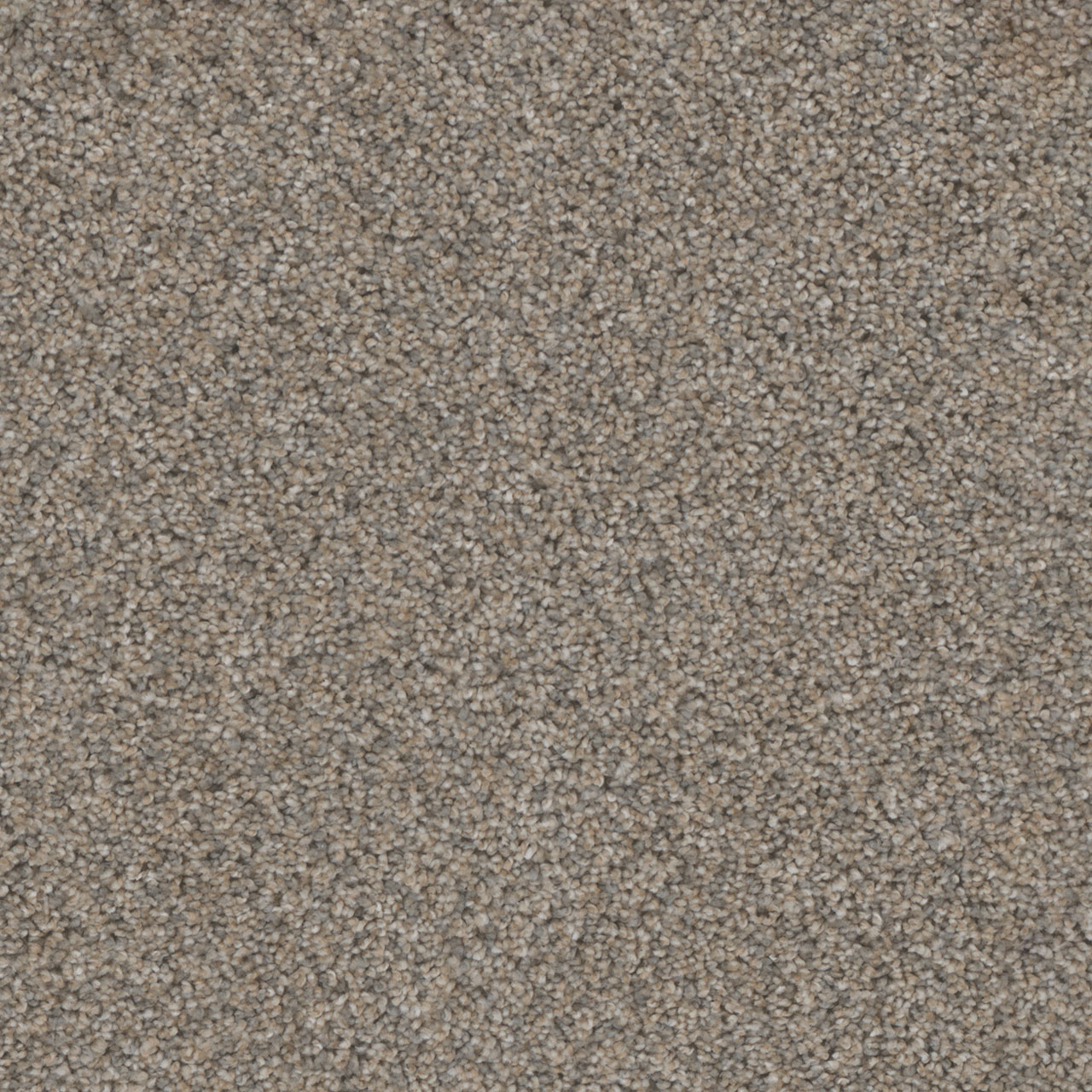 Glimmer Trendsetter II swatch