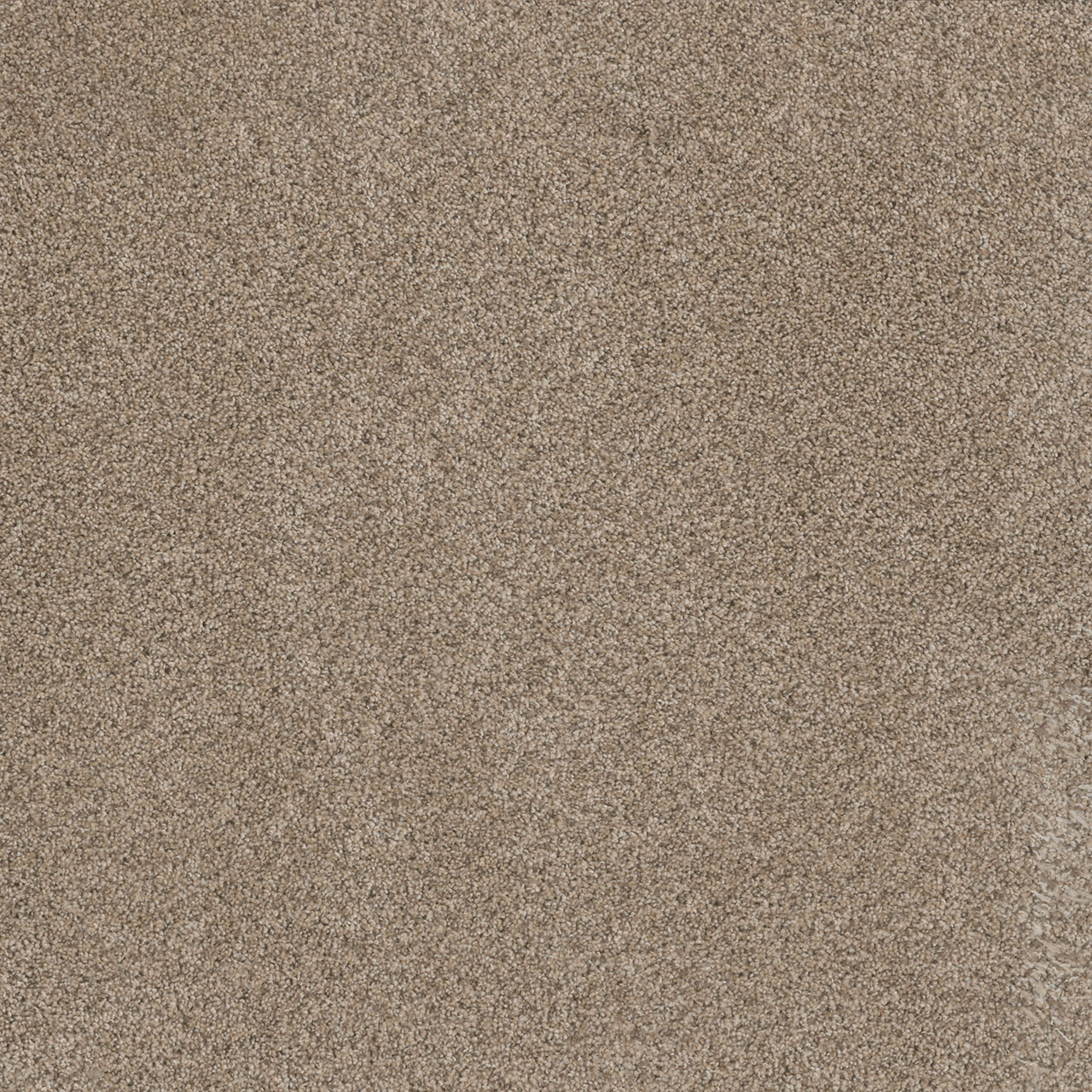 Oxford Trendsetter II swatch