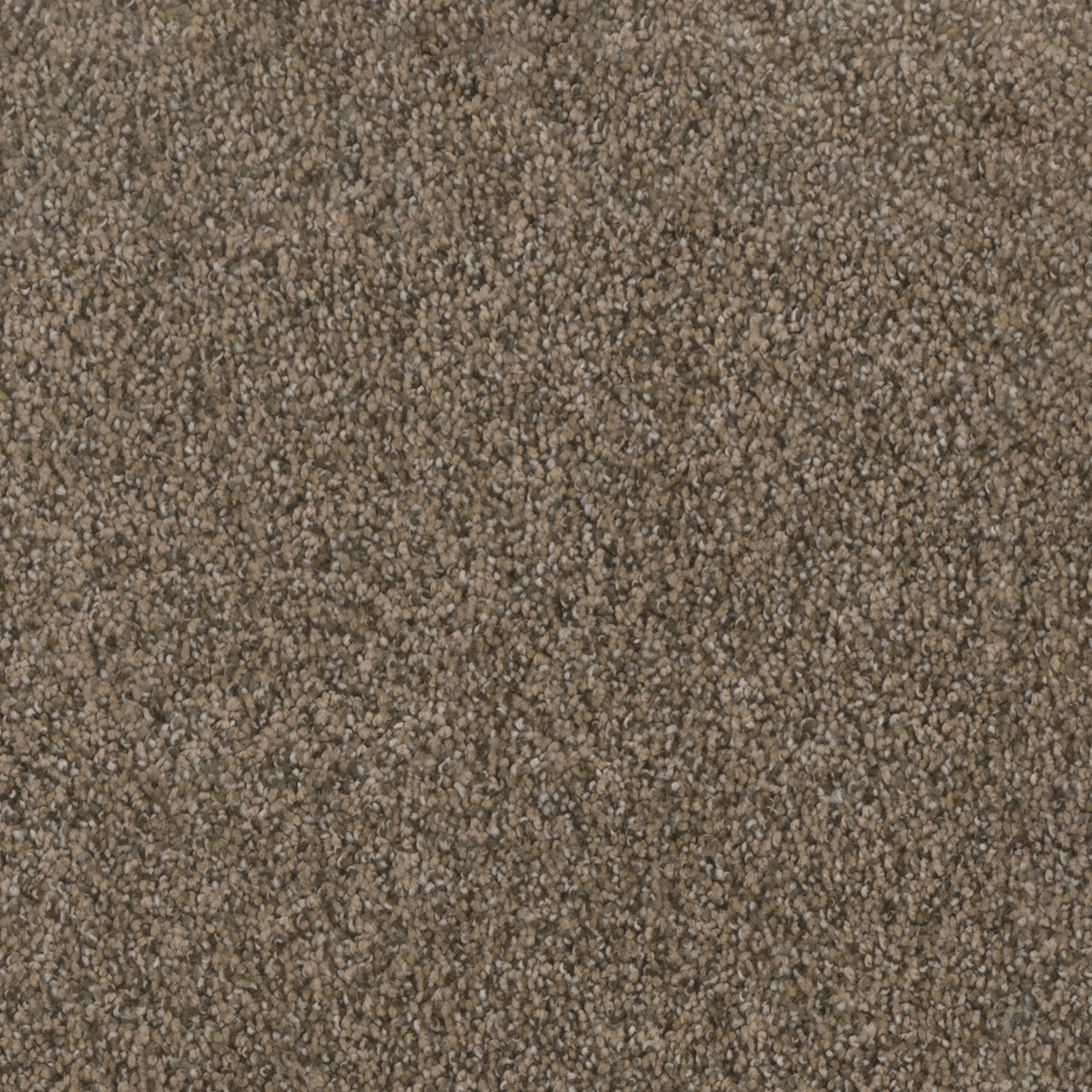 Smokey Taupe Trendsetter II swatch