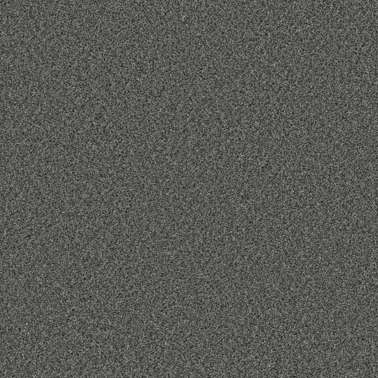 Zinc Trendsetter II swatch