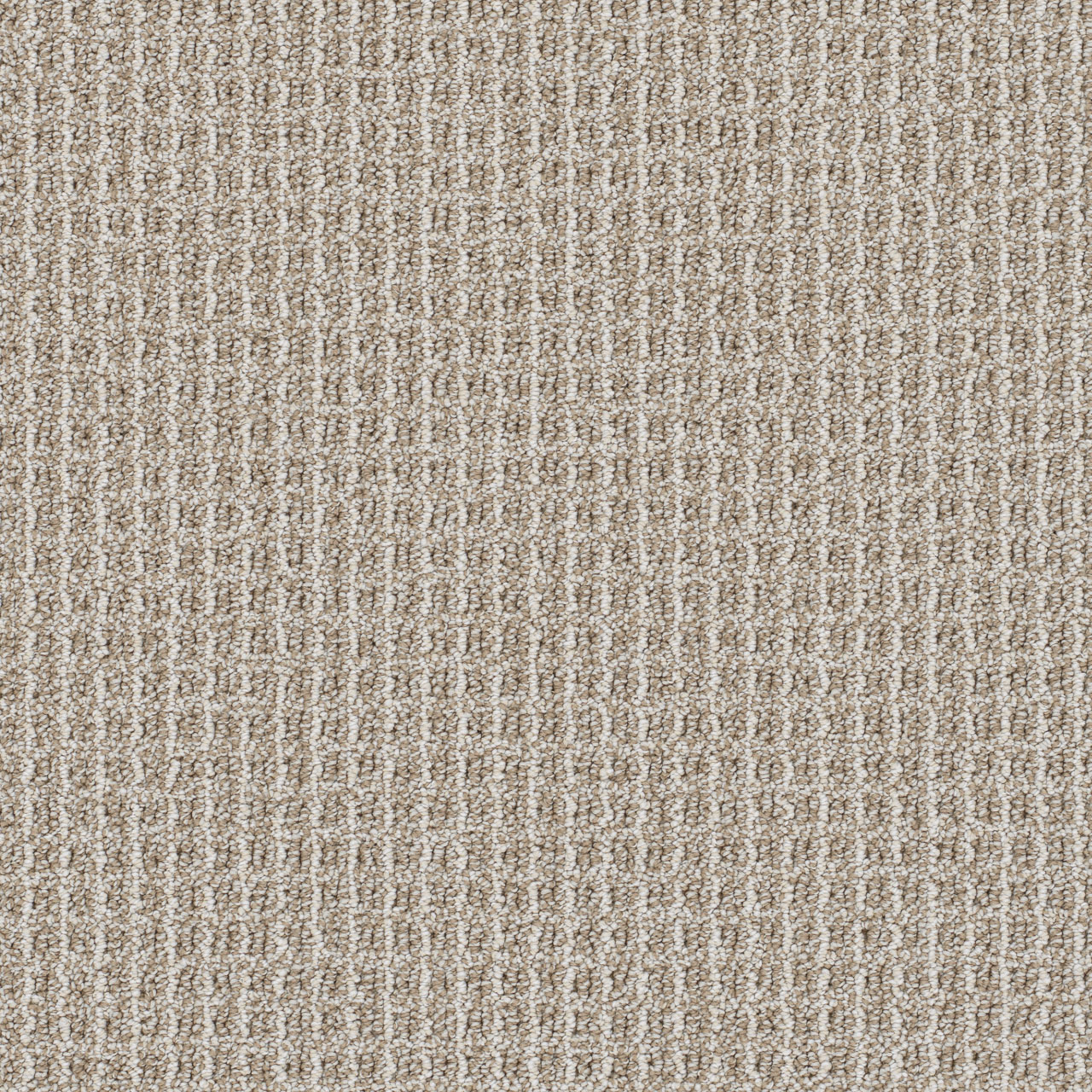 Capri Valencia swatch