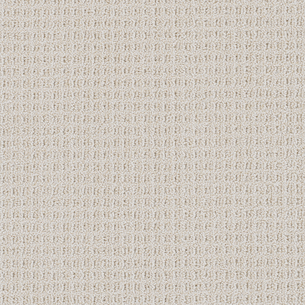 Magnificent Valencia swatch