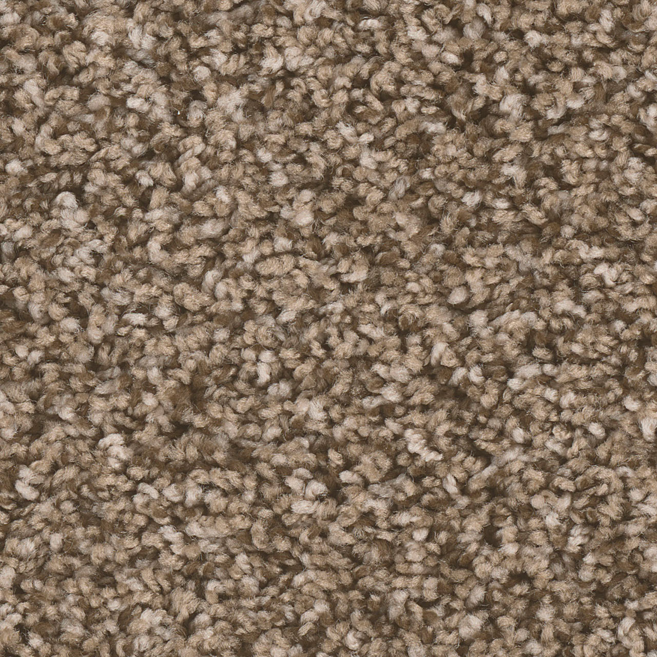Bramble West Brow swatch