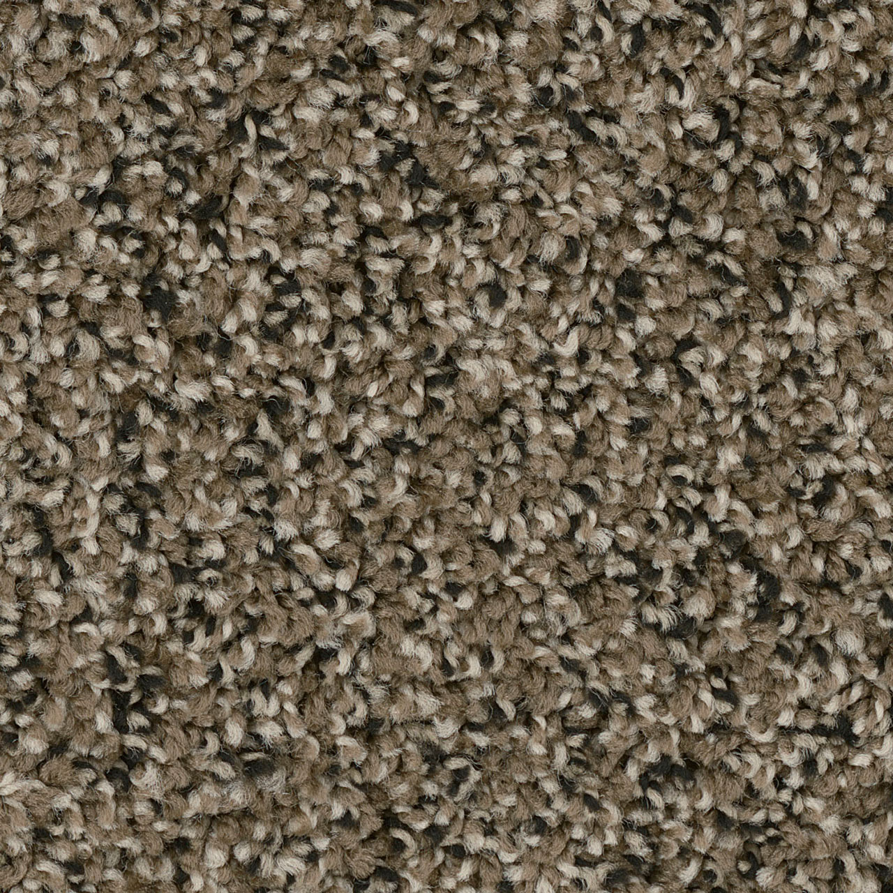 Magnetite West Brow swatch
