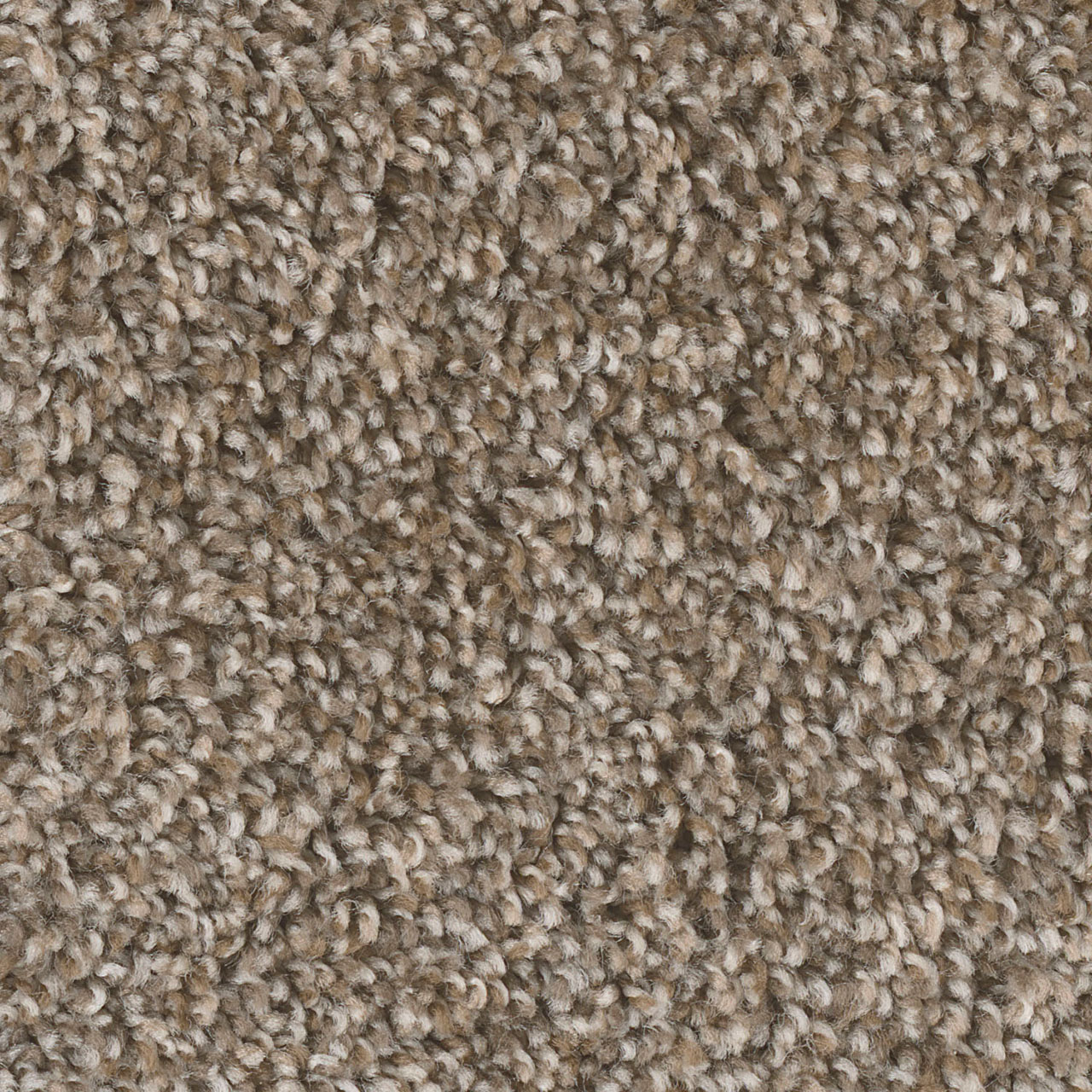 Toasted Chestnut West Brow swatch