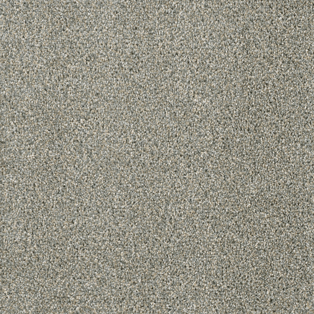 Sandy Trail Yellowstone swatch