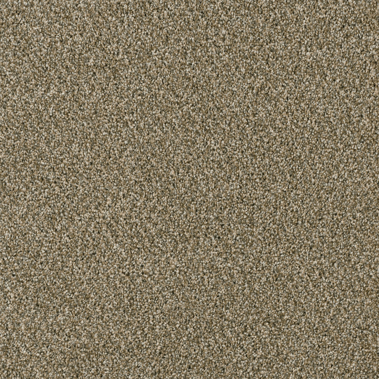 Sienna Sand Yellowstone swatch