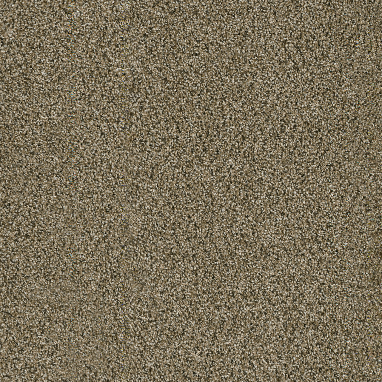 Spice Yellowstone swatch